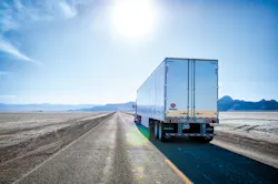 112019 Great Dane Champion3.jpg 112019 Great Dane Champion3.jpg