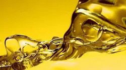 Shell Oils Lubricants Header 5f8d936fc96ef Shell Oils Lubricants Header 5f8d936fc96ef