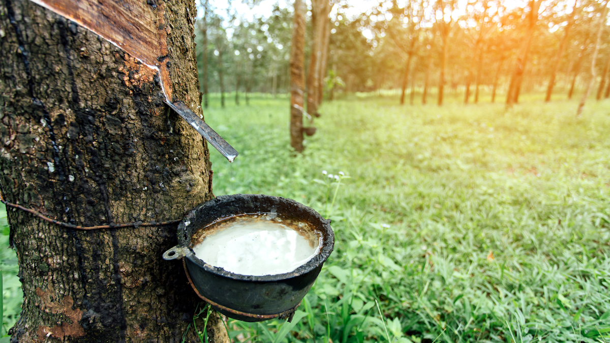 Natural rubber prices are rising | FleetOwner