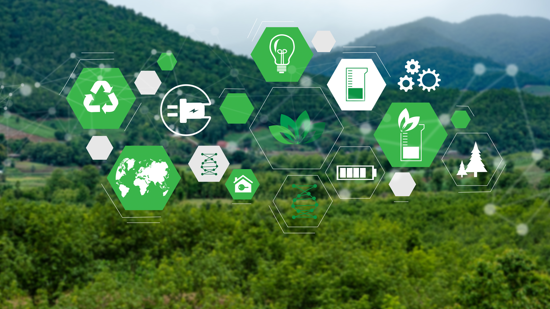 Dreamstime Xxl 155564093 605b3969d98bf