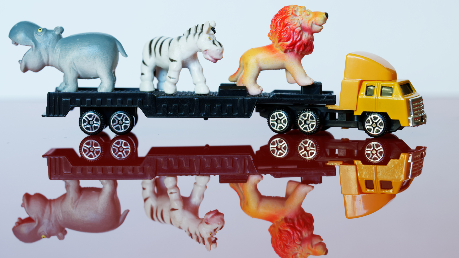 Jungle 4 Dt 60b12569e1d5c