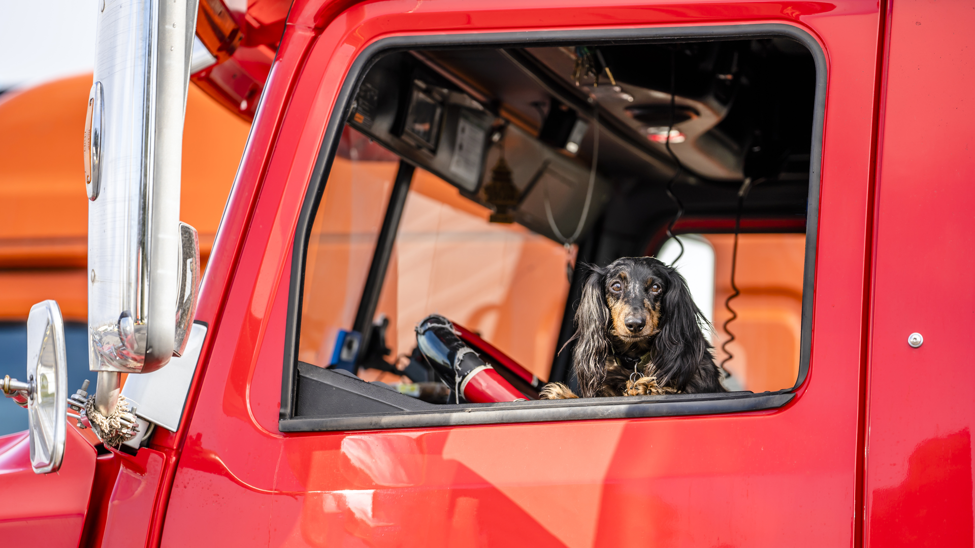 Truck Driver Dog Vitpho Dreamstime 60d5e19d868f9
