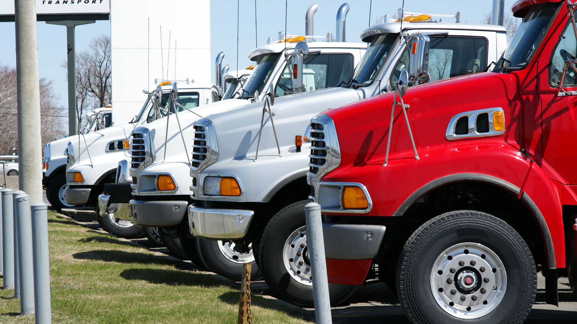 Dreamstime Xxl 9036360 624ee67bd365b