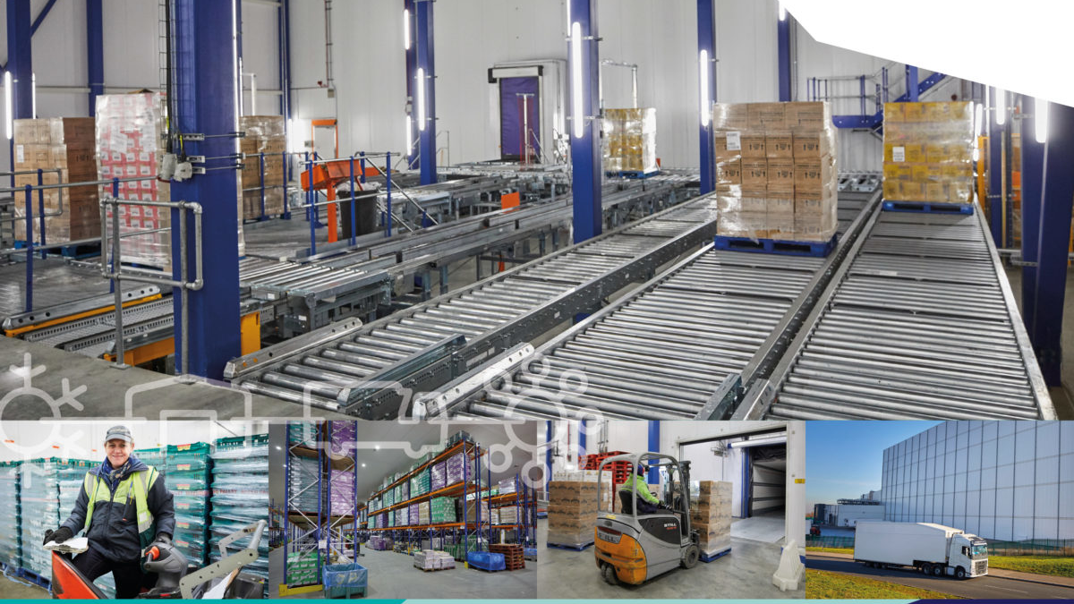 Ccf Net Zero Part 4 25 05 22 Aw2 Cover 1200x1697 62b1e665e5007