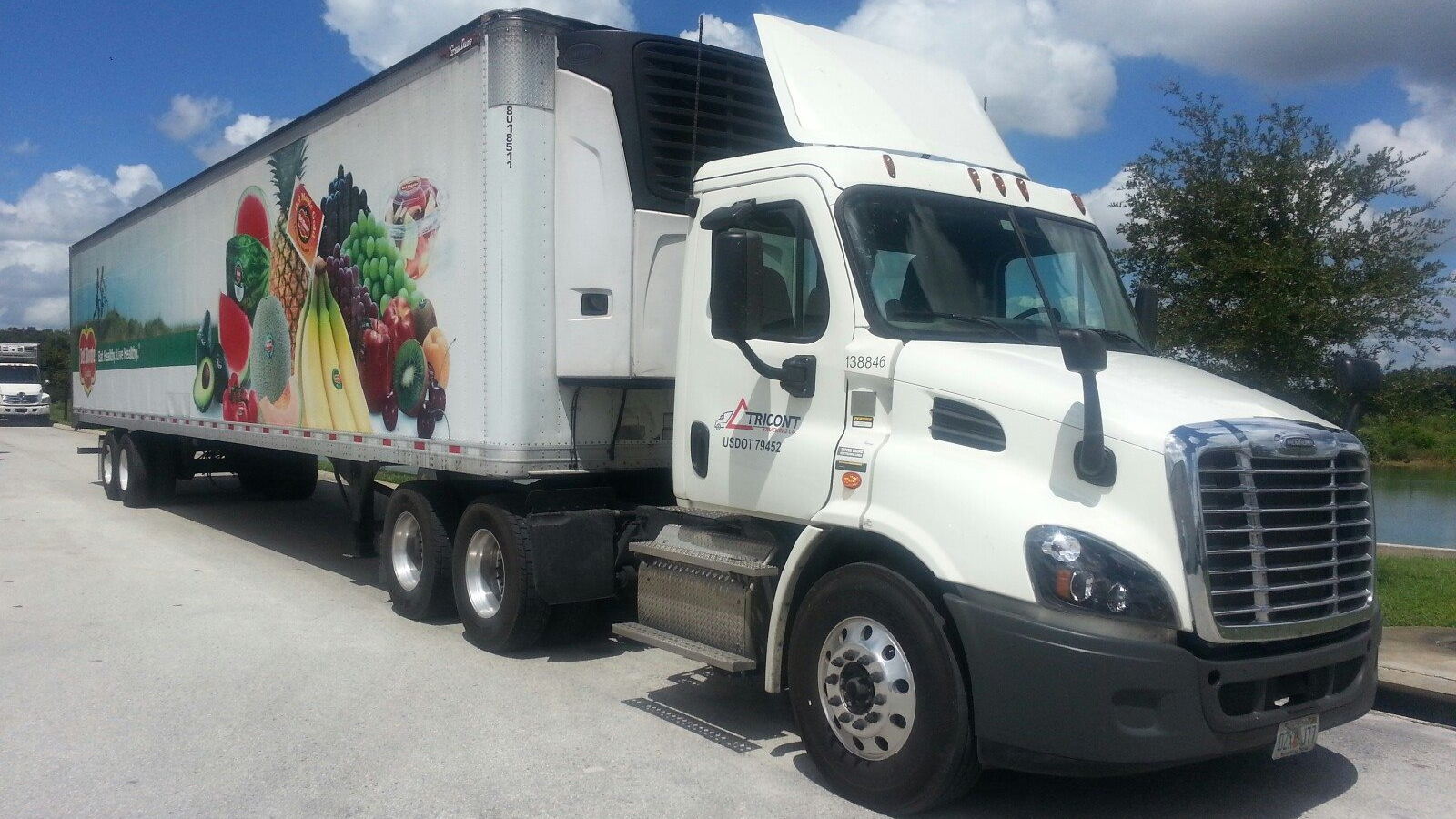 Tricont Del Monte 62ec12eedf7ec