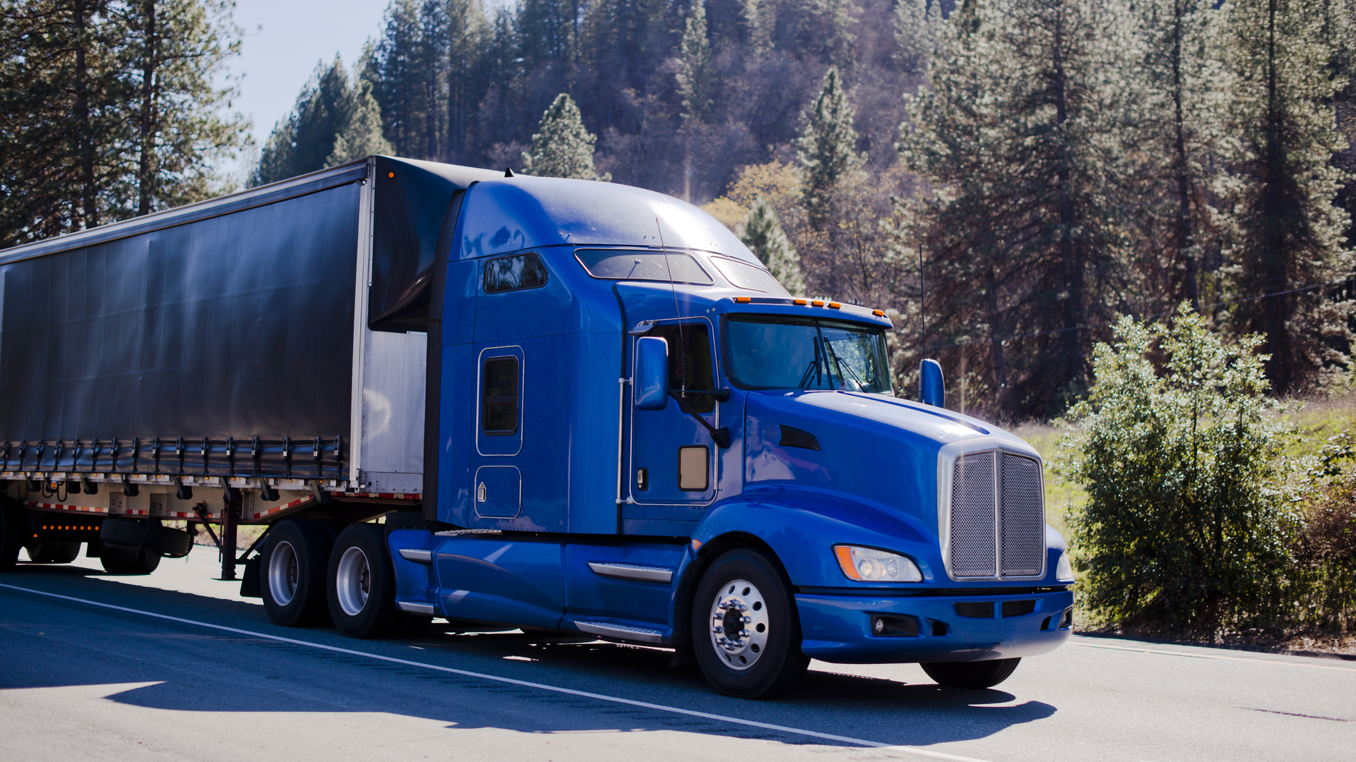 Dreamstime Vitpho 56873708 639b39f09adff