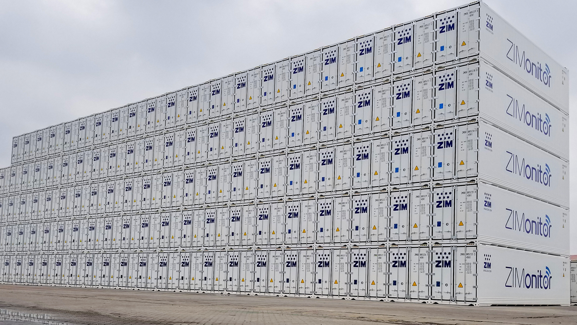 Zim Star Cool1 6462347994c0a