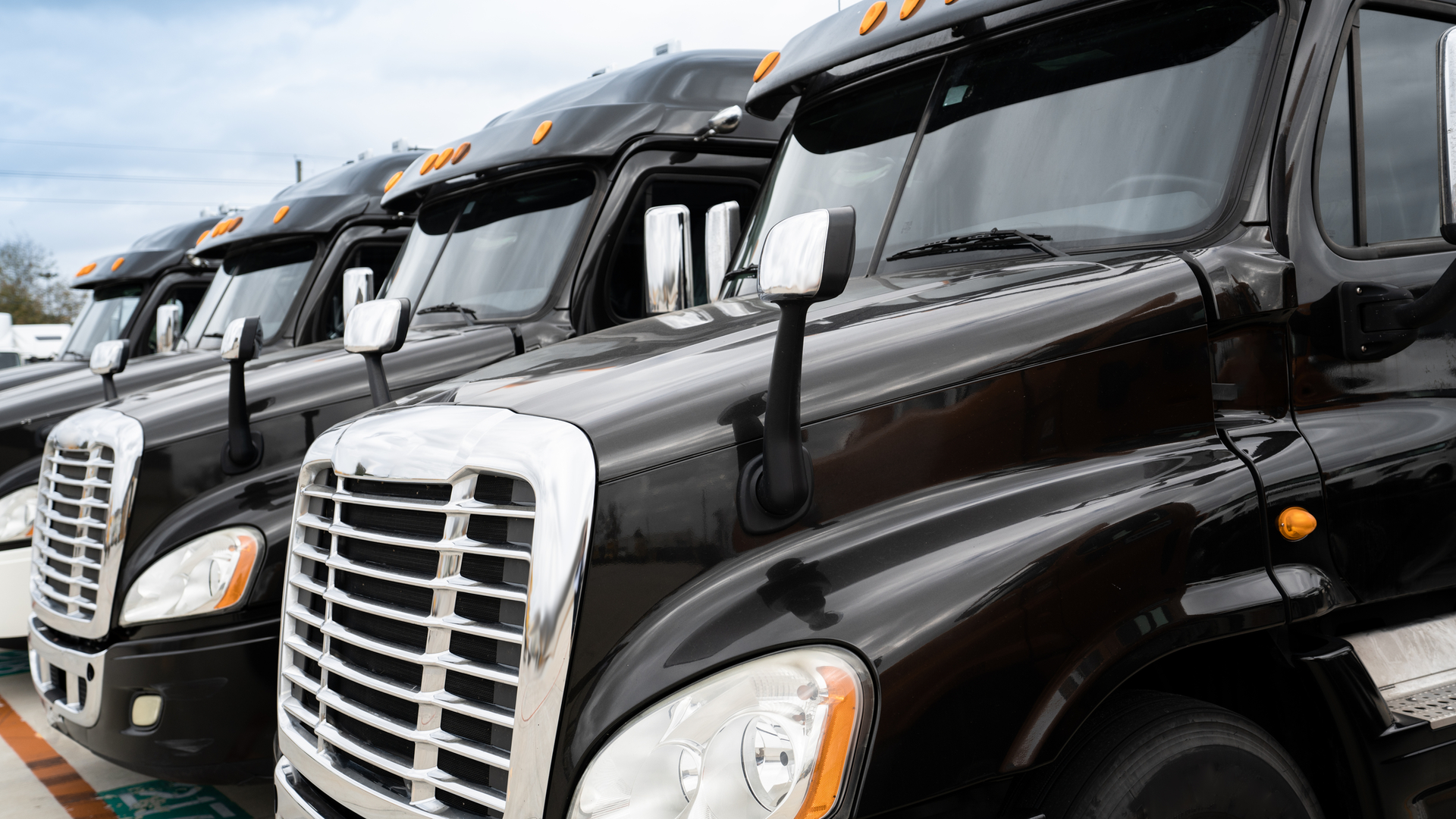 Dreamstime M 138476111 1 645e7e348f202