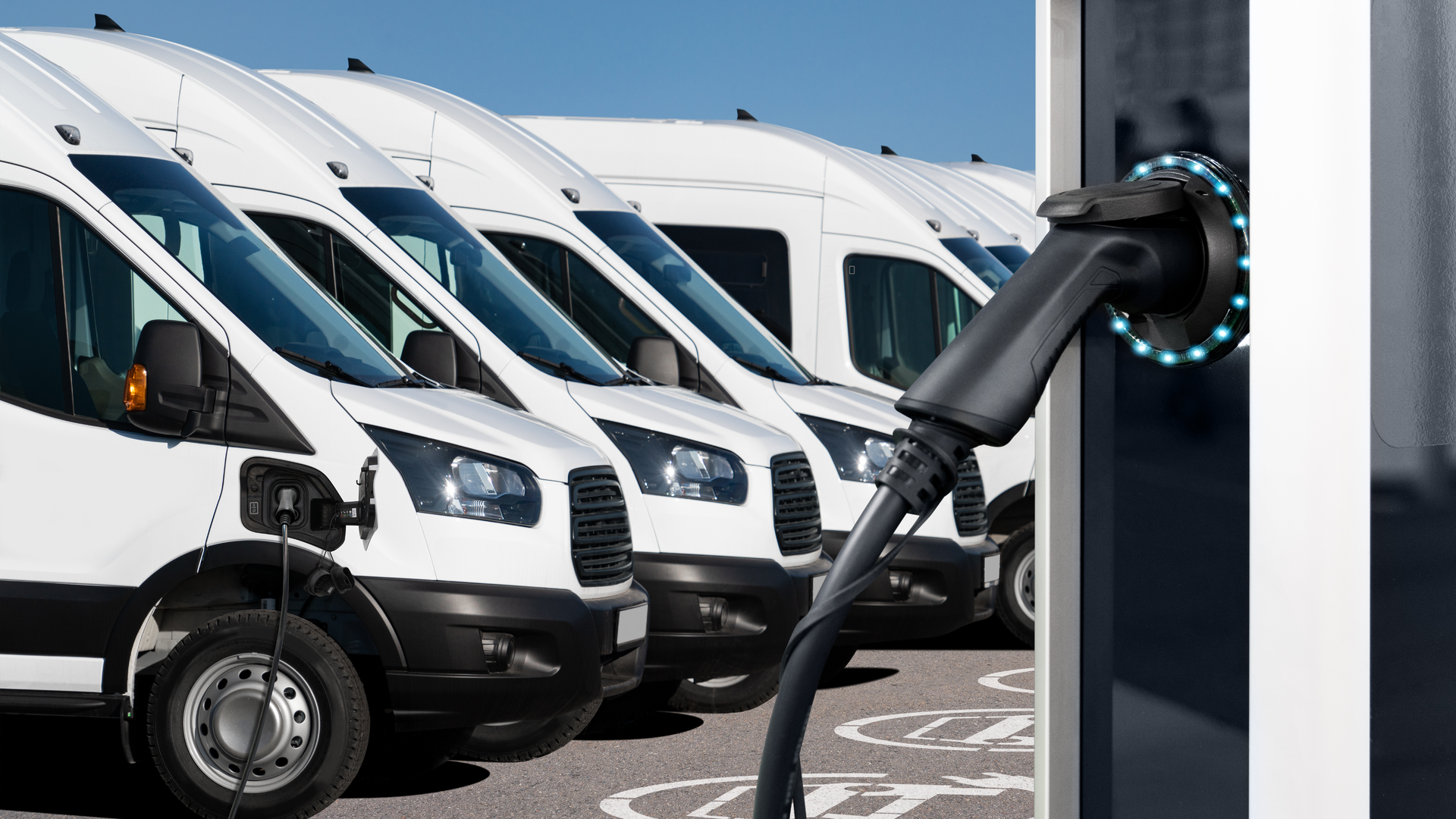 Dreamstime Xxl 263318800 646285242af28