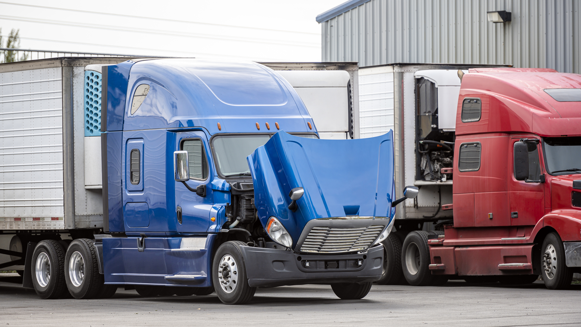 Dreamstime M 162457904 6420c4b2351fb 650dd978ea499