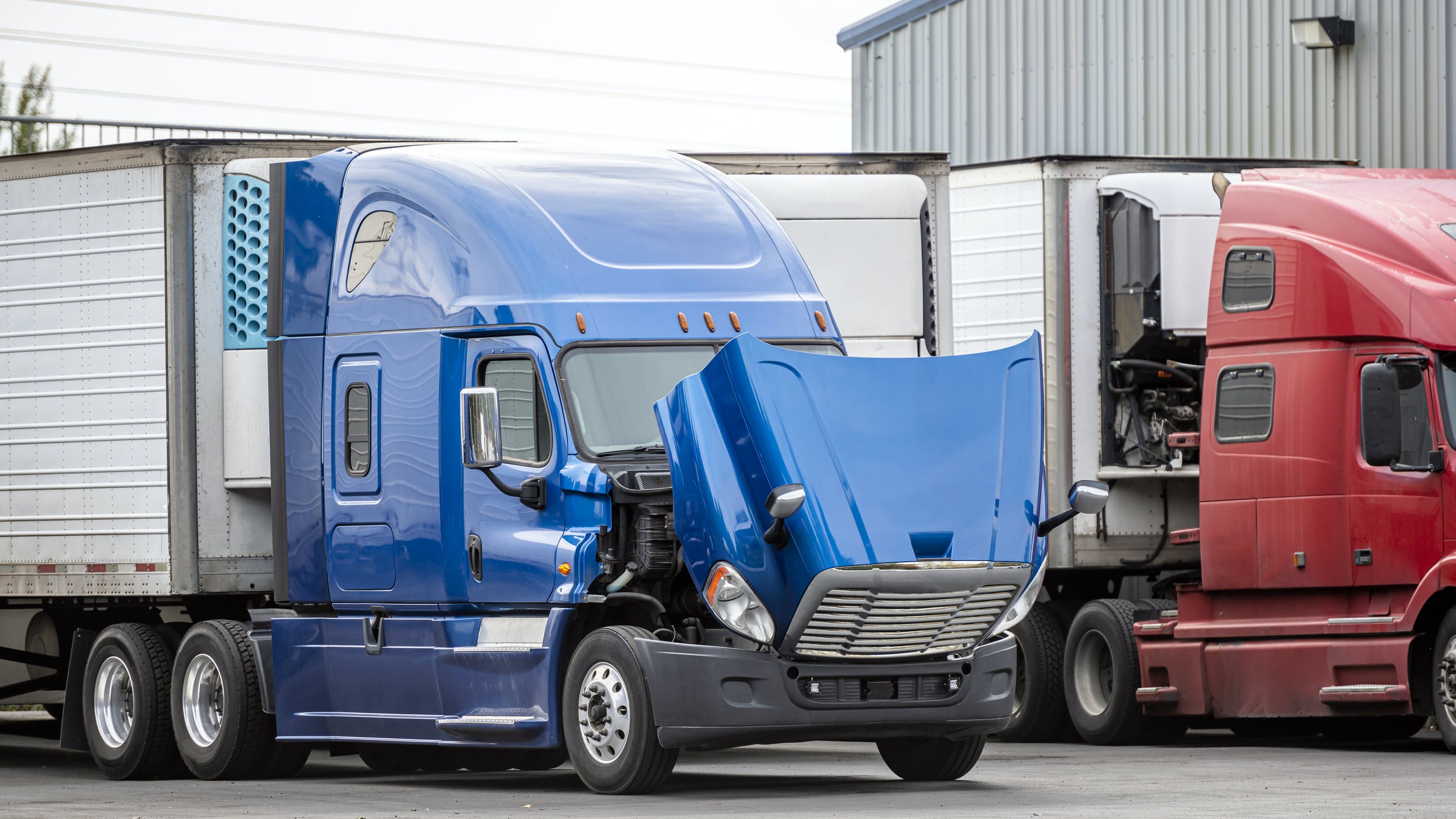 658c54e791f03b001df923be Dreamstime L 162457904