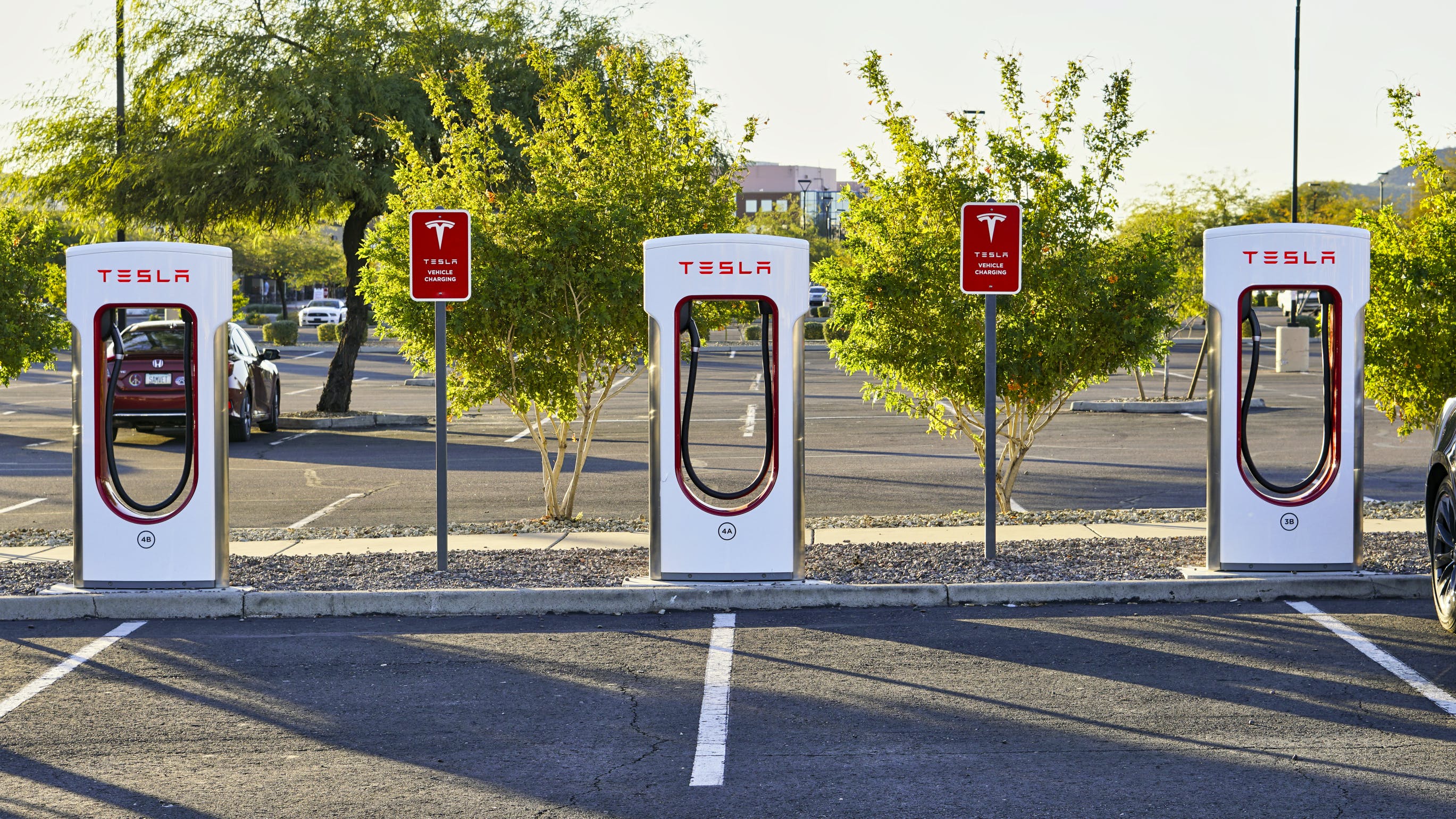 65a685cc425de1001e349e66 Dreamstime L 172148786 1