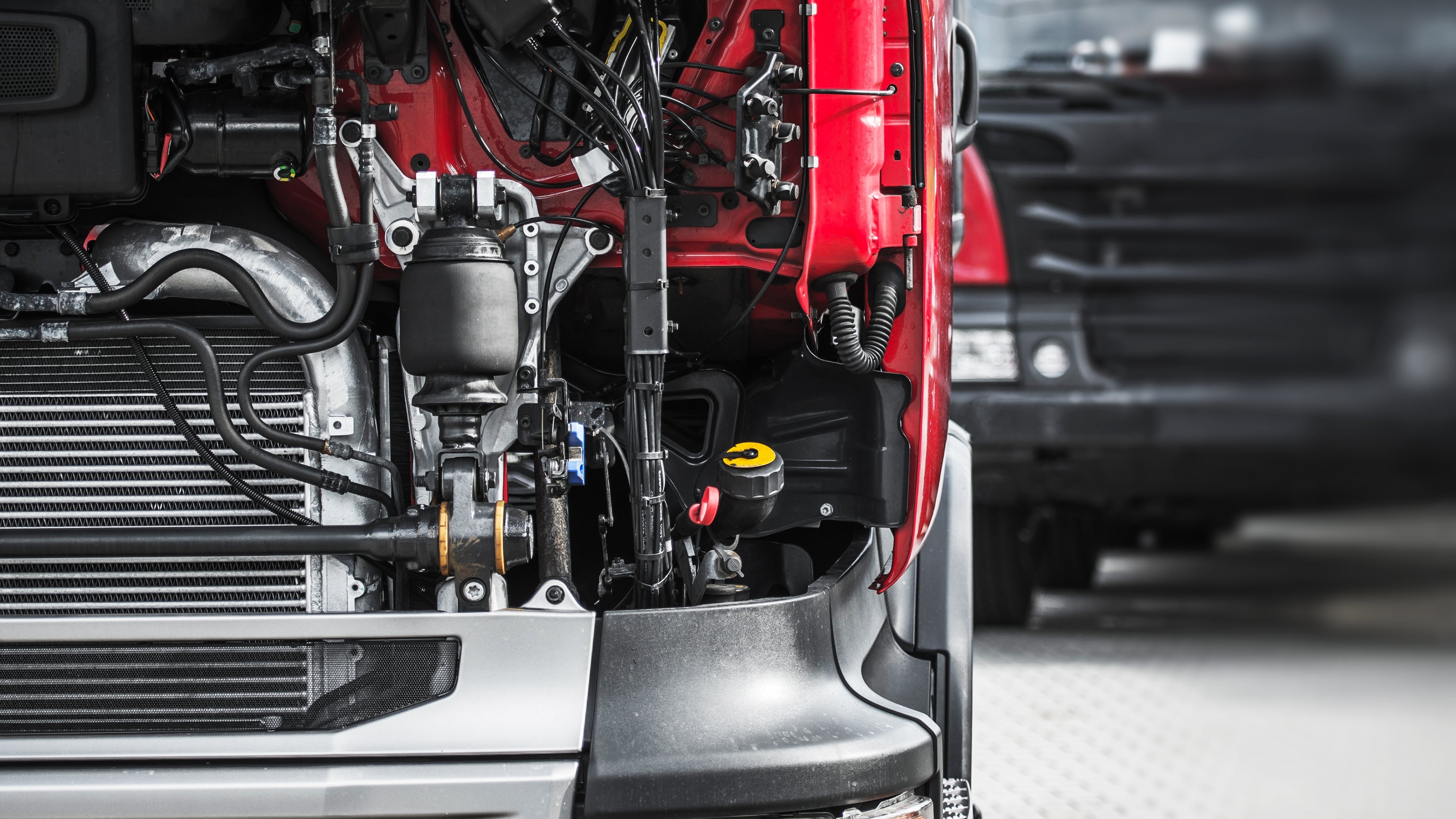 65b7aab766726f001e374c28 Dreamstime Xl 110203491