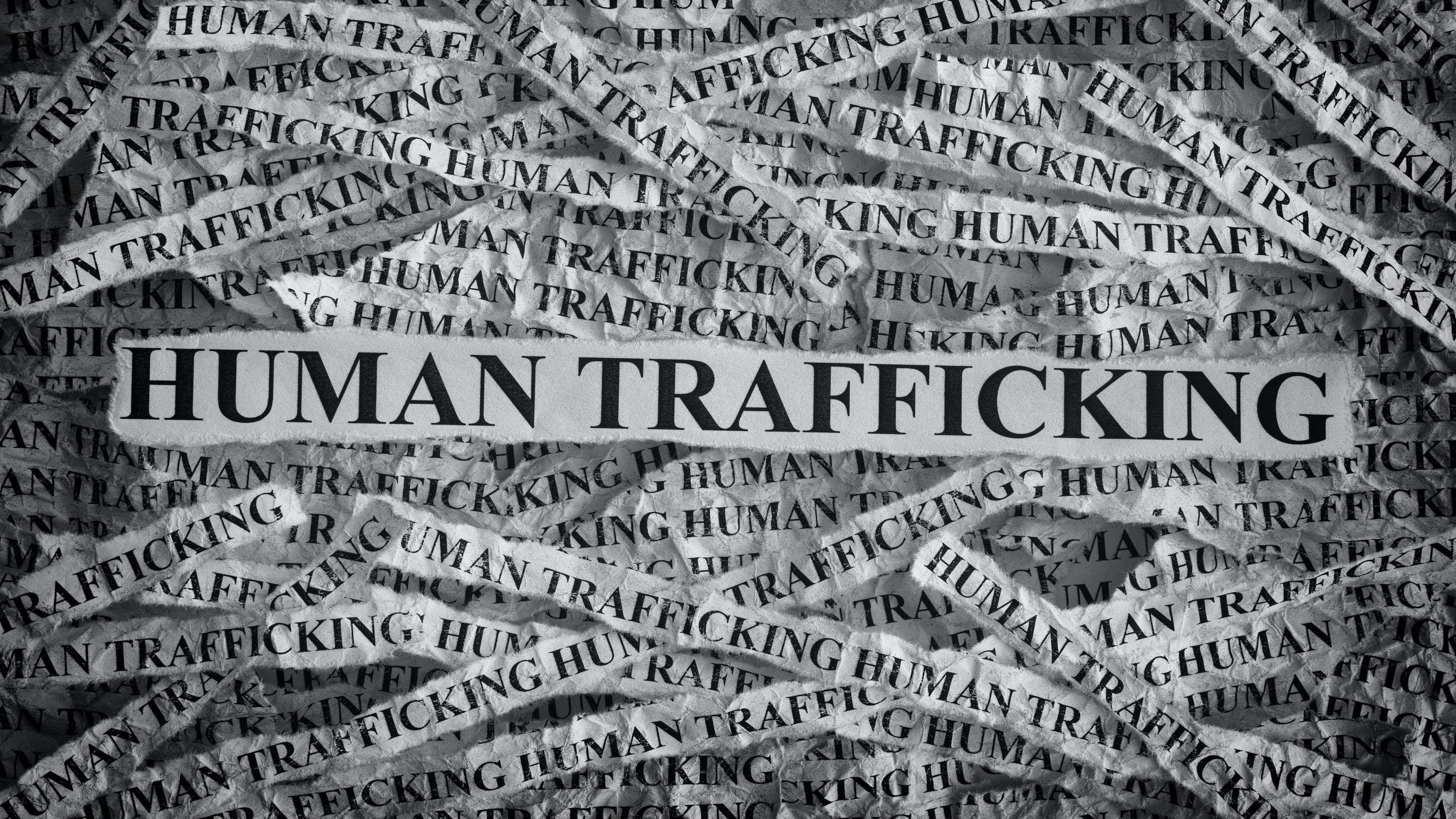 65c5334789599b001e081f68 Dreamstime L 96678581