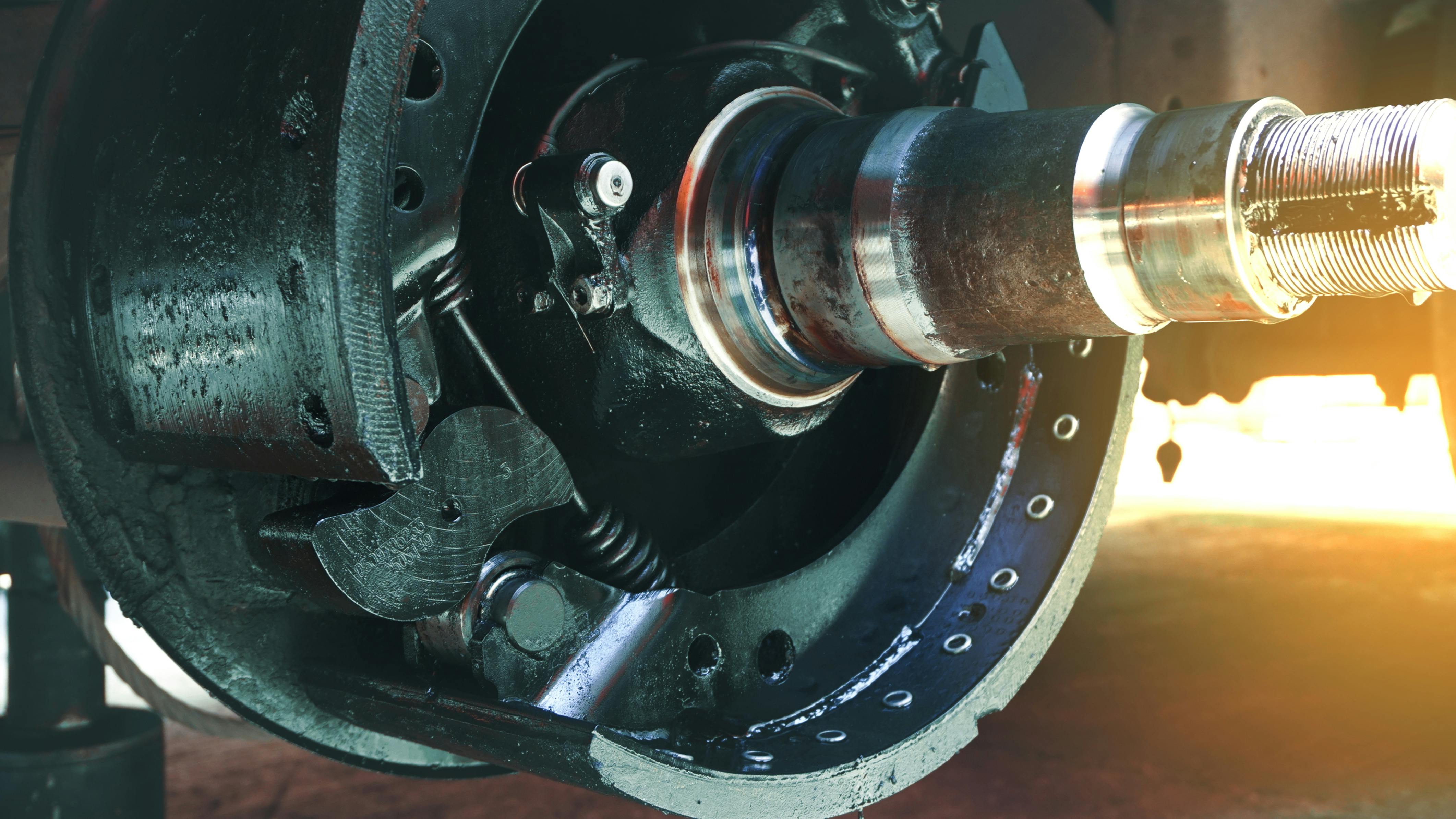 6669db3b6941c5293b1ad24d Dreamstime Xxl 183166065