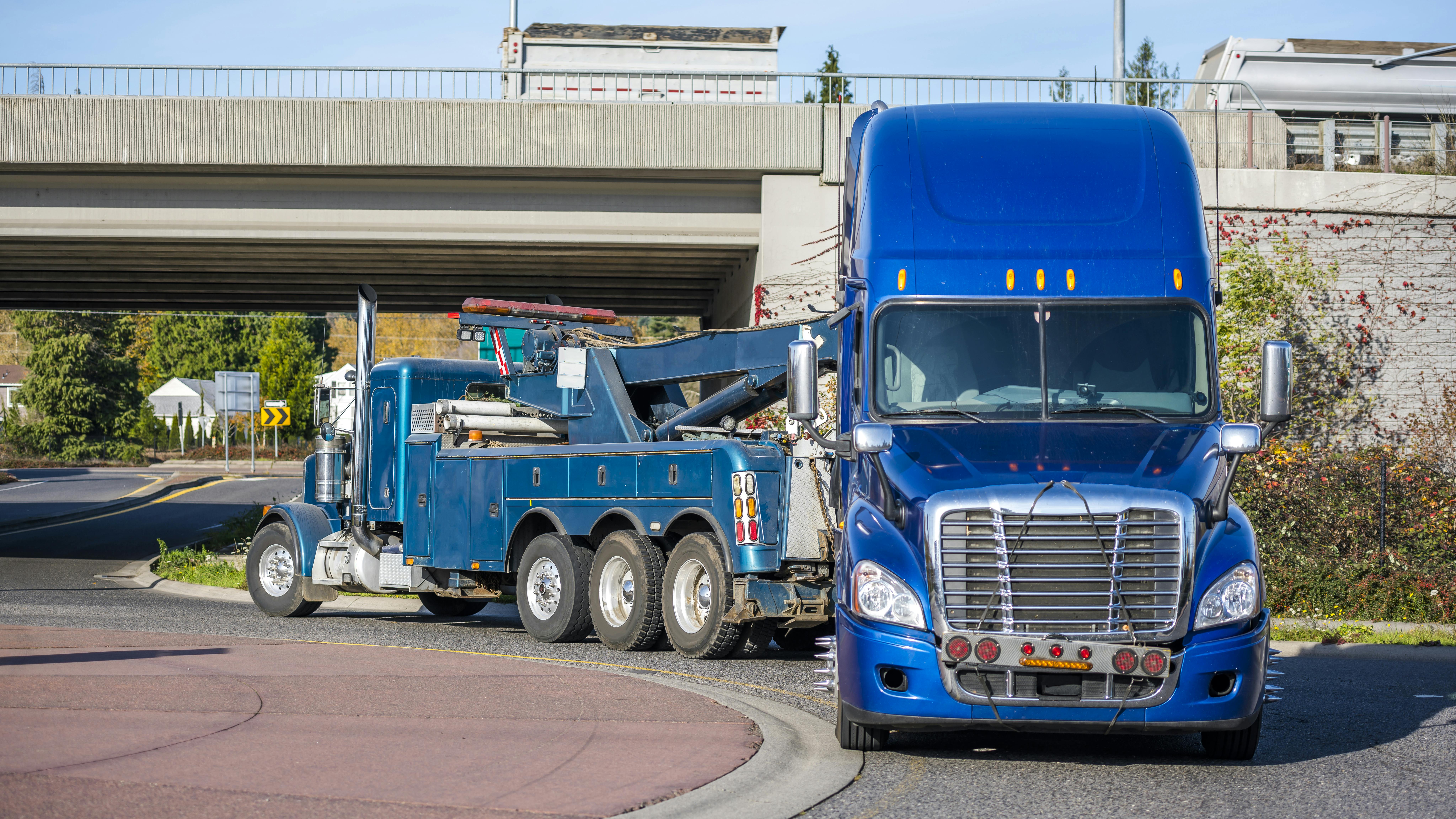 6679b7808505d810c5757516 Dreamstime Xxl 164960803