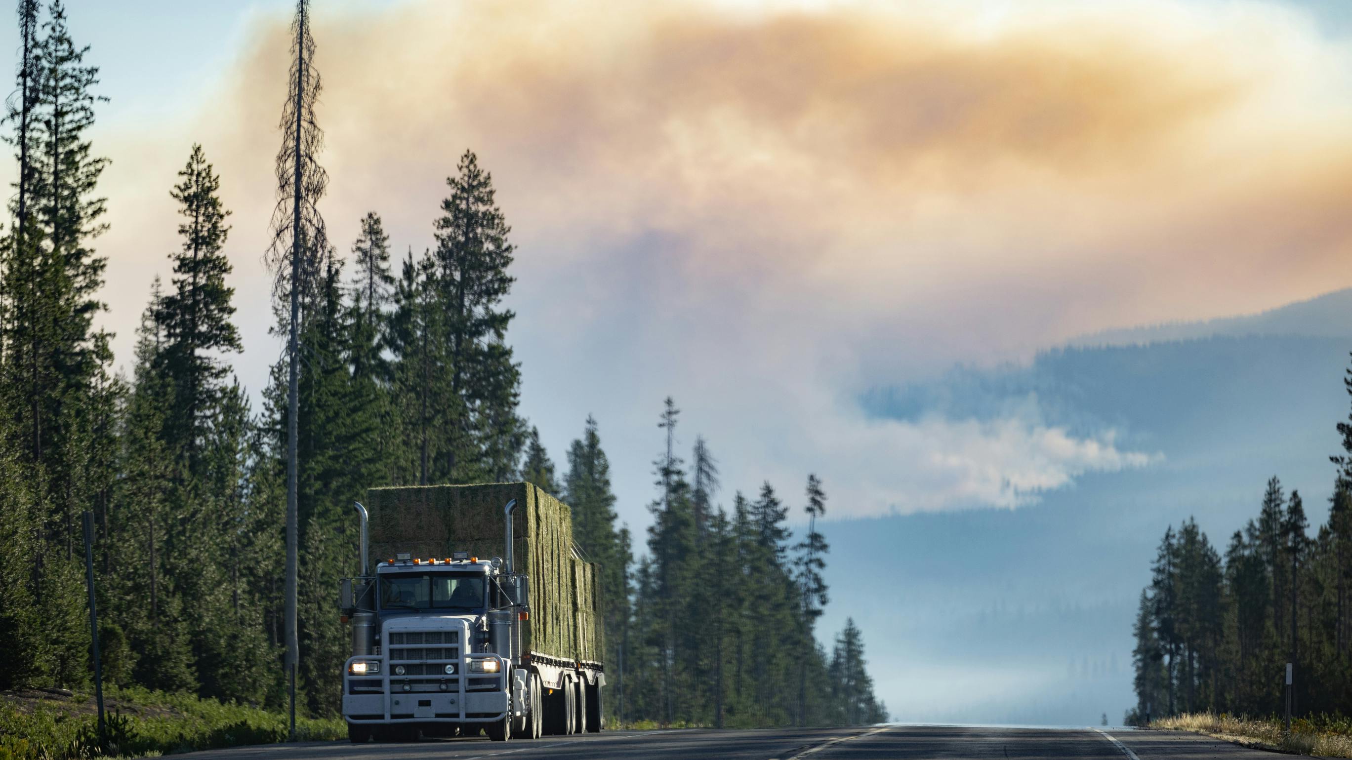 66ccb8d66b9fb5d29dee08b6 Dreamstime L 328092215