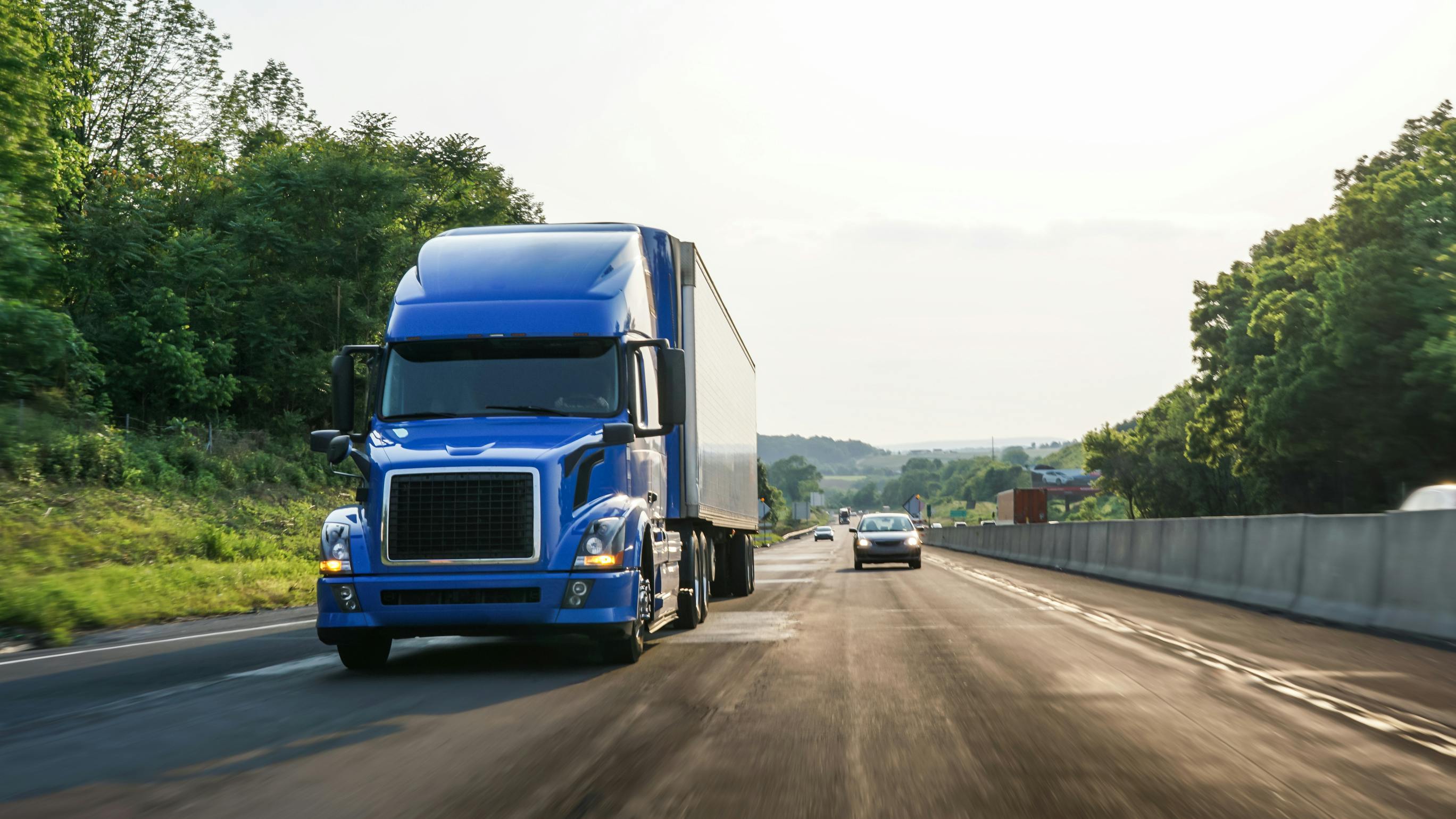 67b7515874f91c39a0c56b4b Dreamstime L 129469948 1