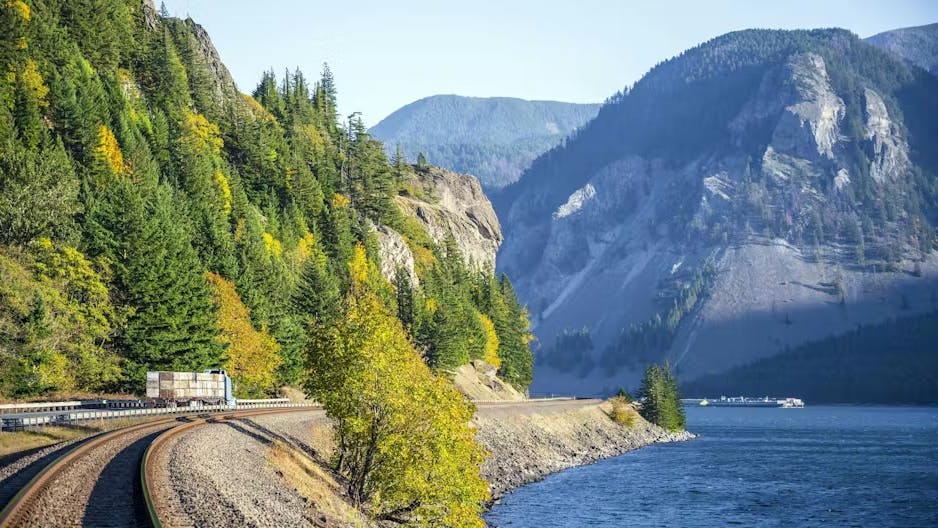 Maximizing efficiency: The essential role of drivers in transitioning to alternative-fueled vehicles