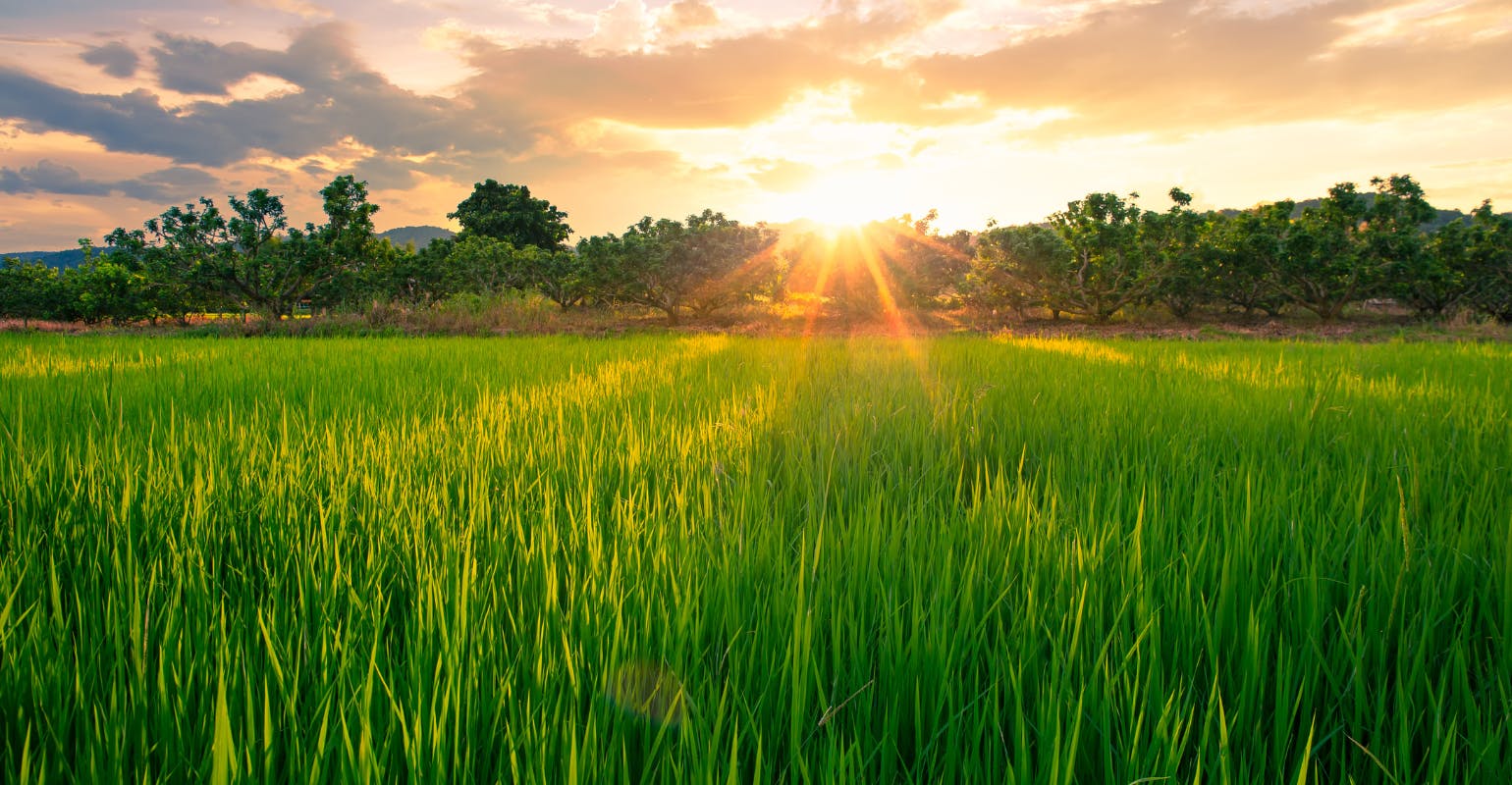 67d4354485b1ccc341900c59 Fleet Owner Header Image