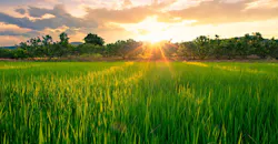 67d4354485b1ccc341900c59 Fleet Owner Header Image 67d4354485b1ccc341900c59 Fleet Owner Header Image