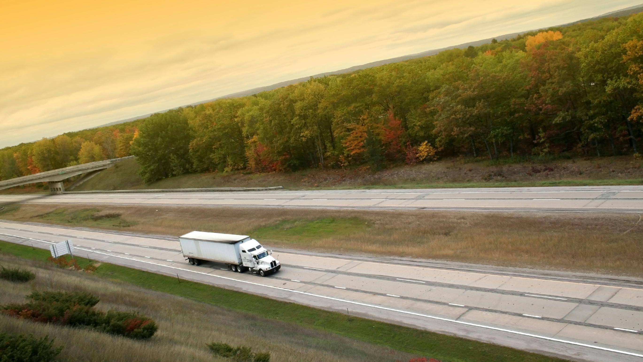 68223a654e8effd46129075c Dreamstime L 1753598