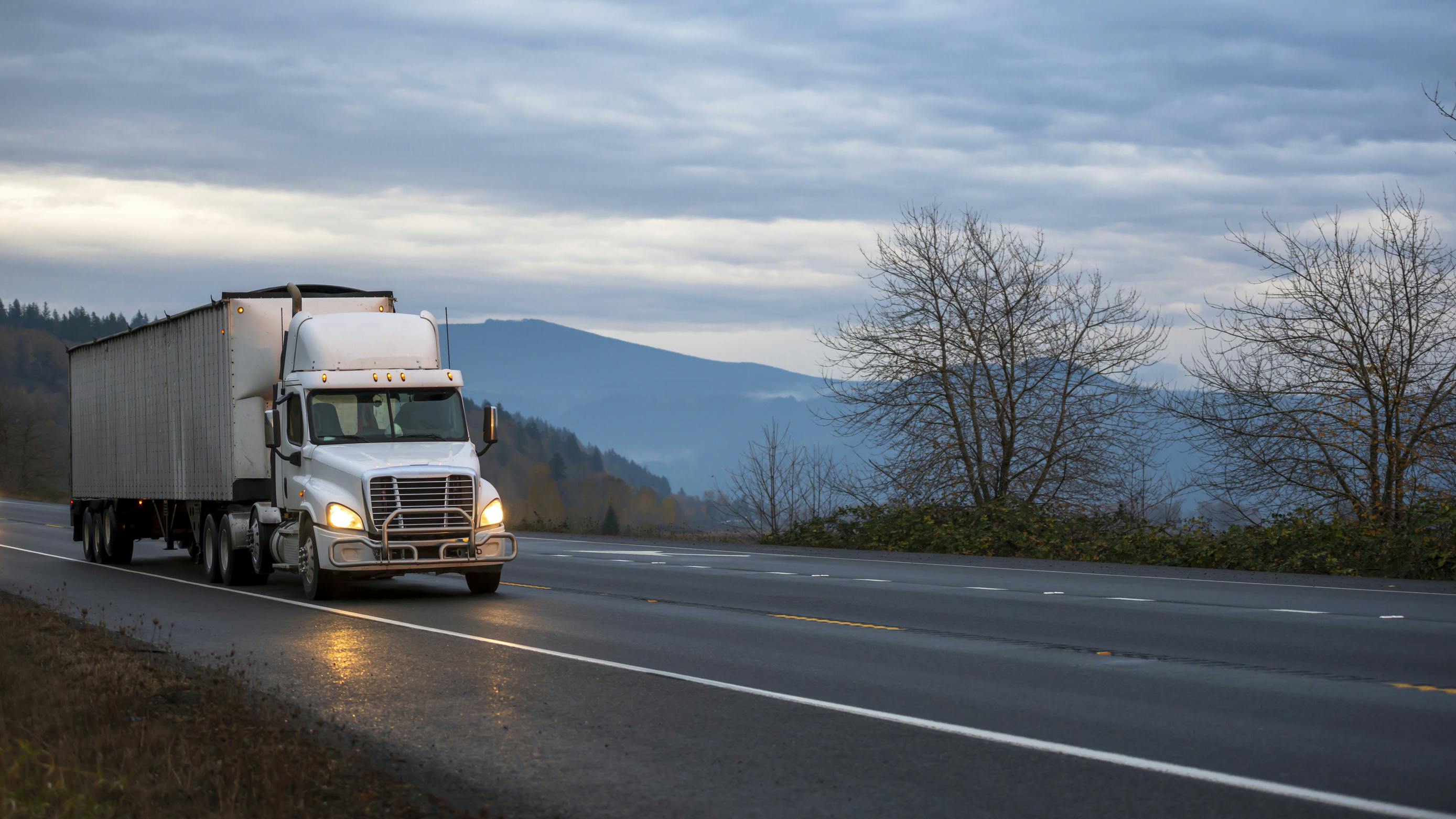 6890cb1b812ad291945055cc Dreamstime L 144707698