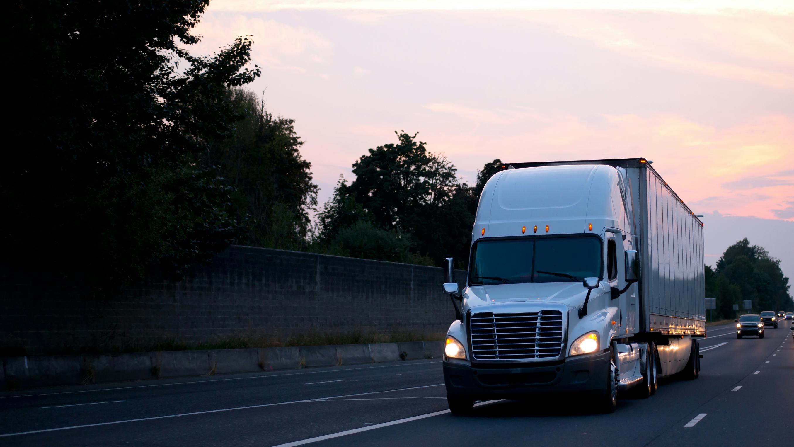 68b9a6f298dc99eff2a72ff8 Dreamstime L 100320250