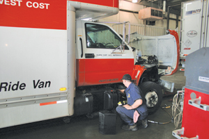 1169821219957 10334031