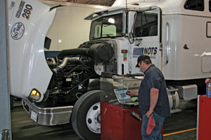 1186692727469 10333939