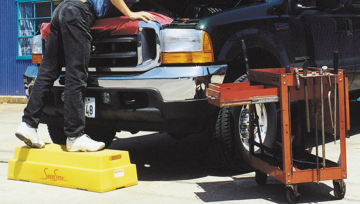 Shurestepiii 10099919