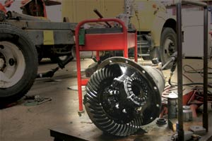 1207769988036 10331168