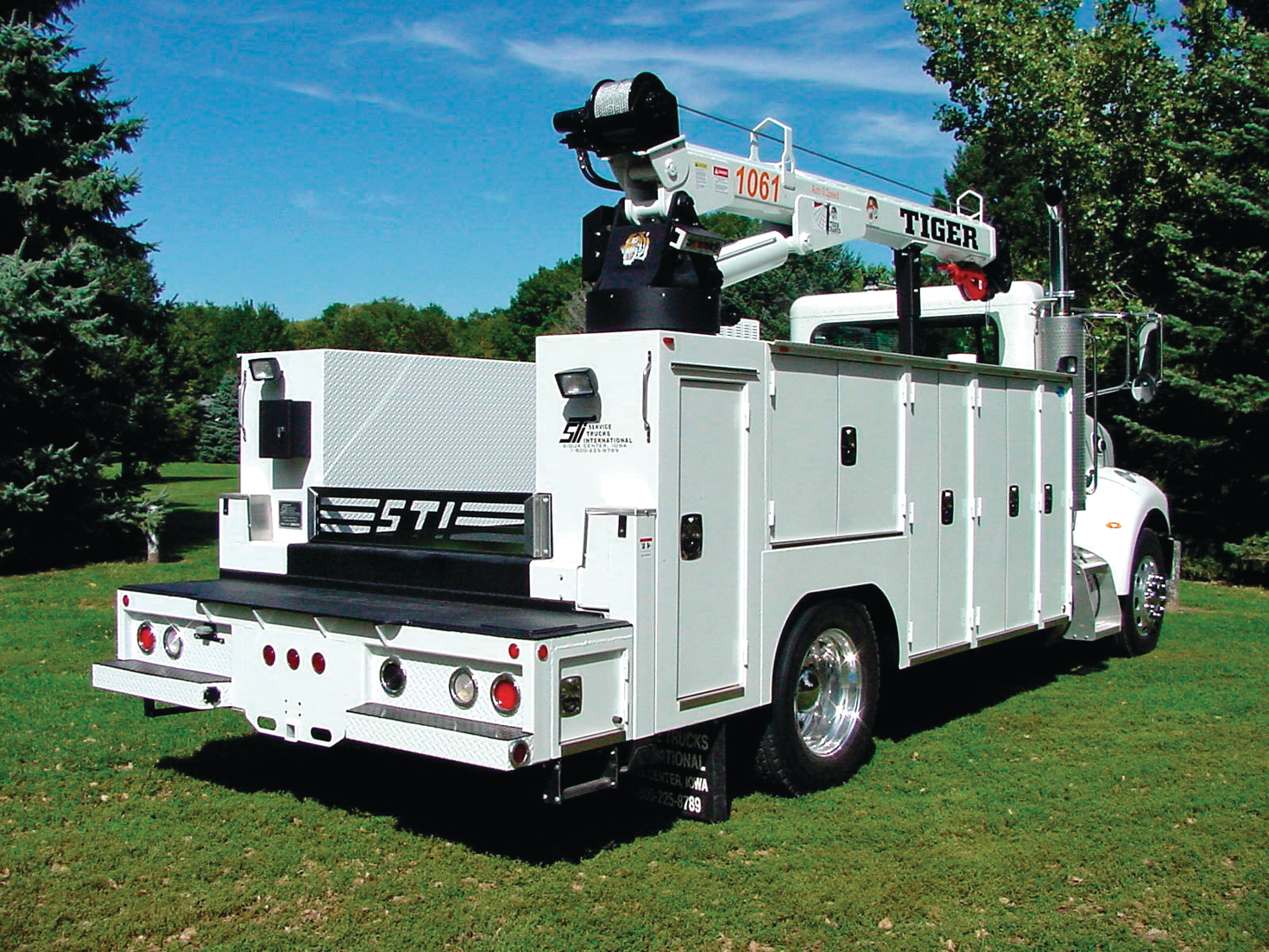 Eagleprobodiestigercranes 10127556