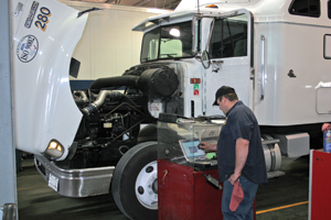 1236973569673 10330387