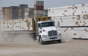 1260222083635 10330206