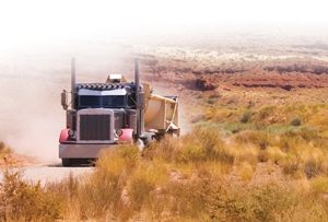 1271445321001 10329409