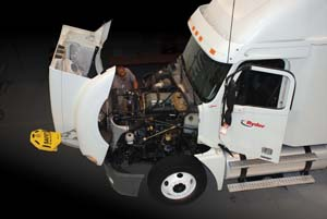 1276016588226 10329382