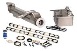 Egr1bd Ki 10171399 Egr1bd Ki 10171399