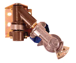 Phillipsi 10206544 Phillipsi 10206544