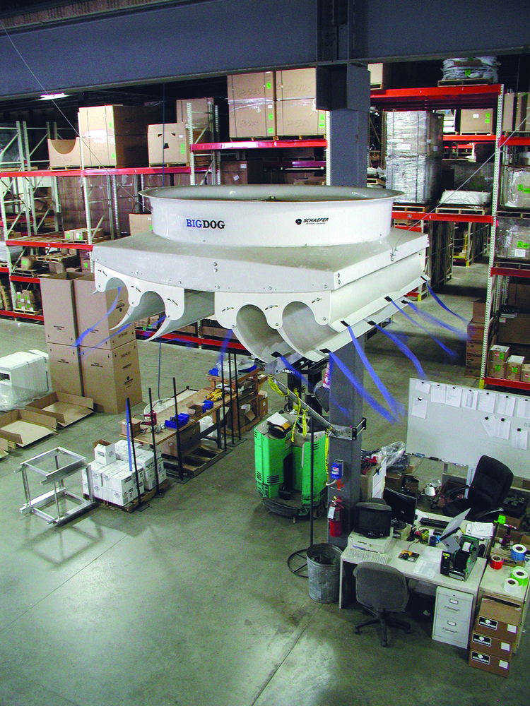 Schaefferbigdogfan 10225024