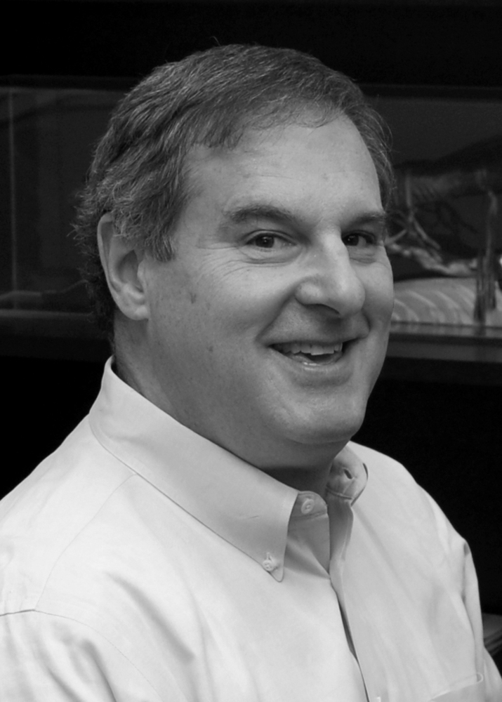 Davidkolman Uptime 10253008