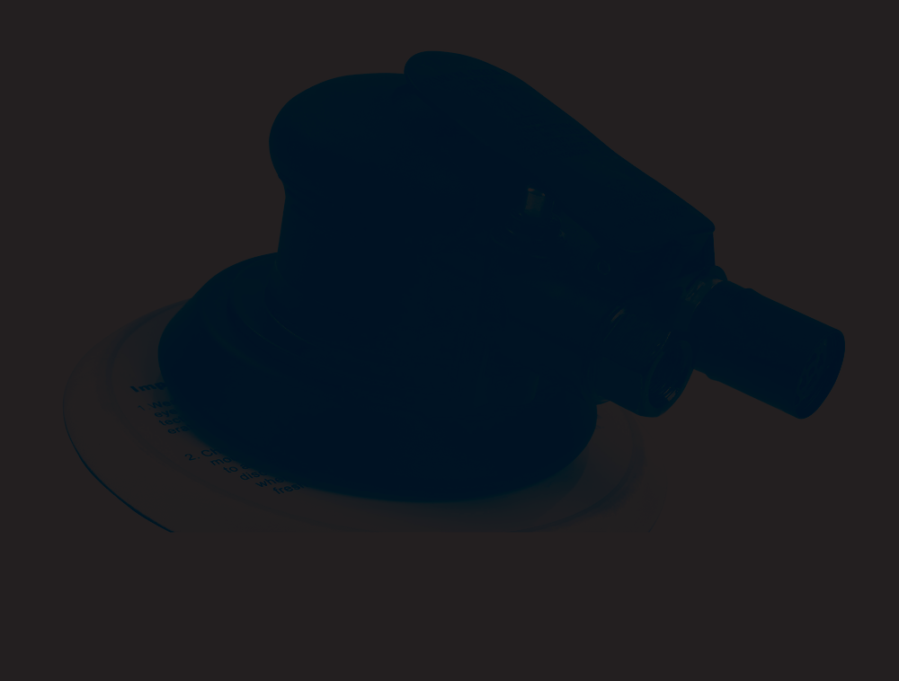 Sx76256inchpalmsanderpicture 10629660