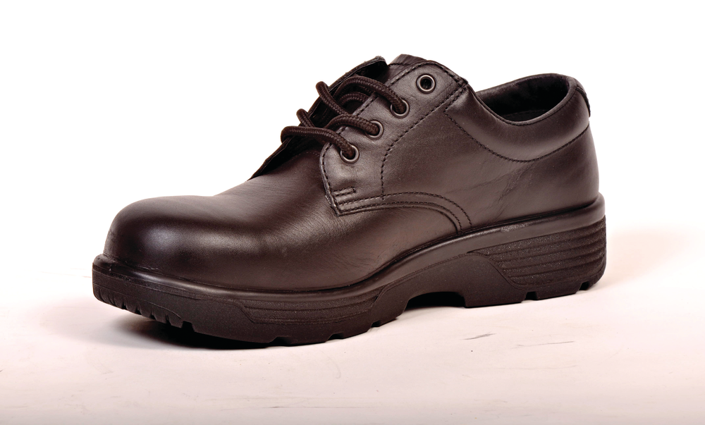 Bluetongueoxfordcruzer 10713954