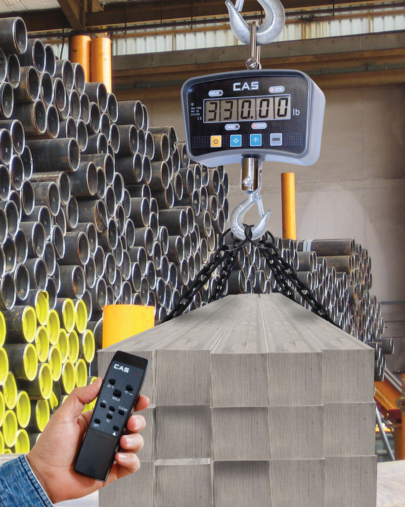 IE Series Crane Scales