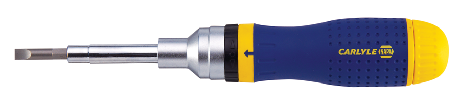 Chtrdbs19 1 11514904