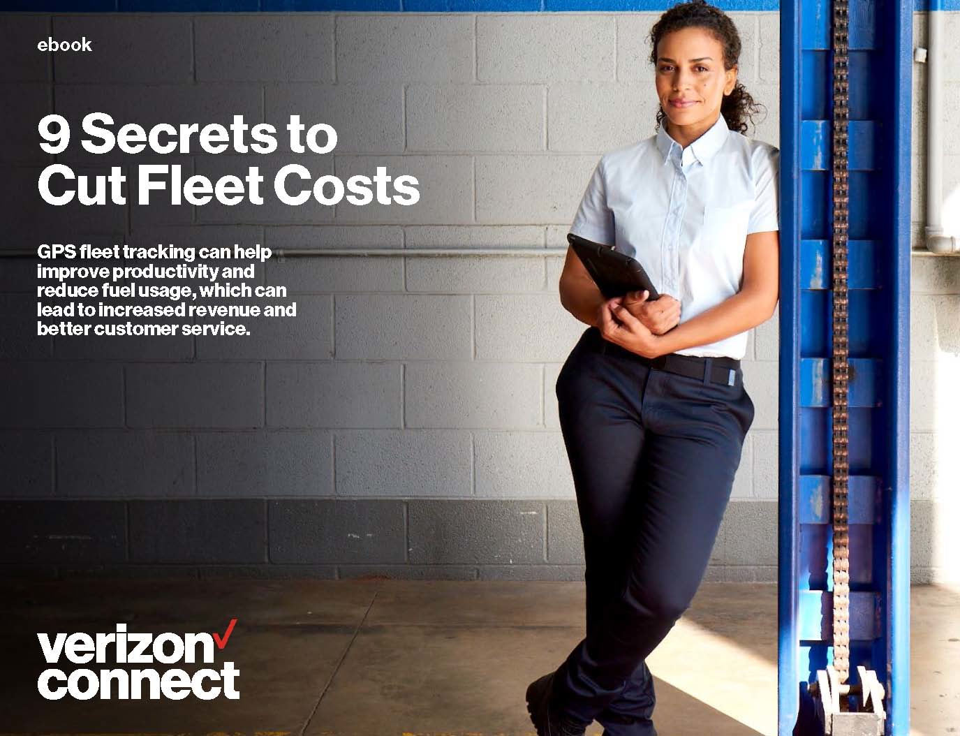 Vzc 9 Secrets E Book Page 01 5ae1f286eece6