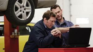 Teamworks16x9 300x169