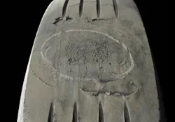 (SECTION 2: Irregular trailer tire conditions) 3. Brake Skid Damage Appearance: Localized spot of excessive wear across tread face showing abrasion marks. Damage may extend into casing. Probable Cause: New brakes (not worn in), unbalanced brake system, frozen brake lines, driver abuse. Corrective Action: Check brake system. Tire Disposition: May be repaired or retreaded if casing is undamaged; otherwise, scrap. (SECTION 2: Irregular trailer tire conditions) 3. Brake Skid Damage Appearance: Localized spot of excessive wear across tread face showing abrasion marks. Damage may extend into casing. Probable Cause: New brakes (not worn in), unbalanced brake system, frozen brake lines, driver abuse. Corrective Action: Check brake system. Tire Disposition: May be repaired or retreaded if casing is undamaged; otherwise, scrap.