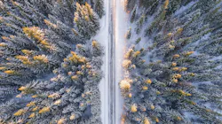 Morning 2147400 1920 5e18b85aa217e Morning 2147400 1920 5e18b85aa217e