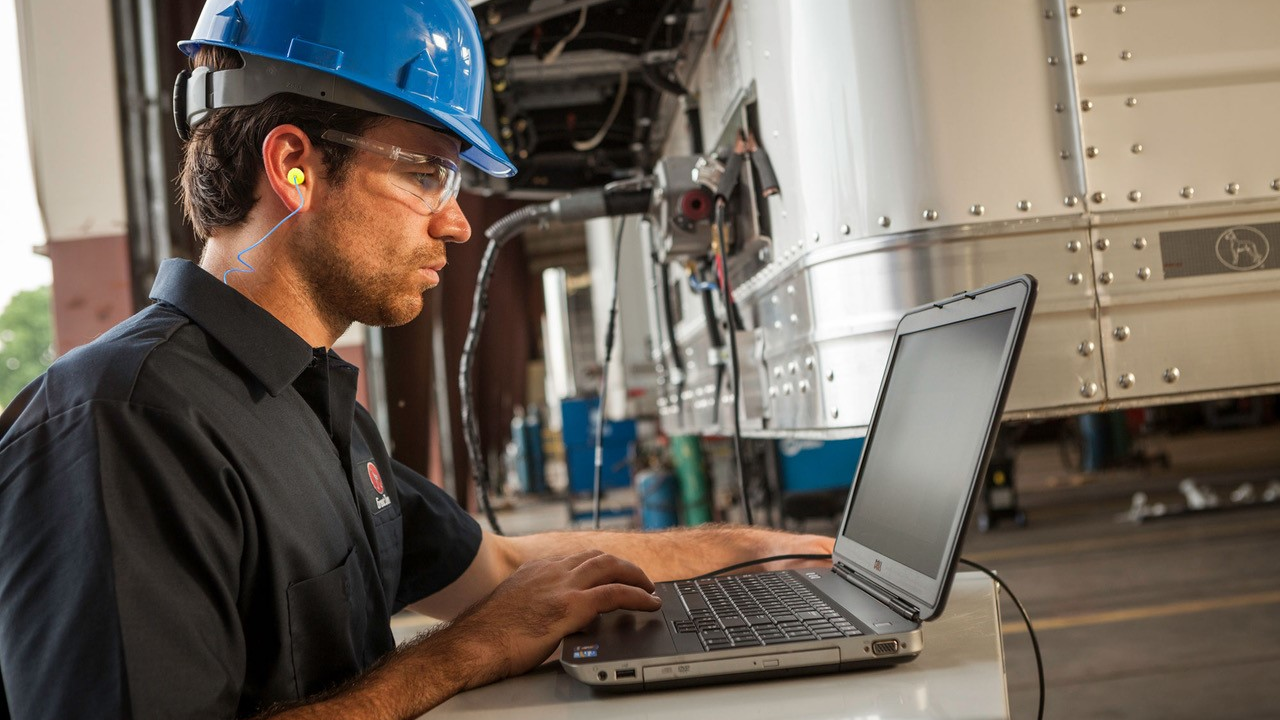 Great Dane Aftermarket 618cff6b30873 61951e4fcd79c